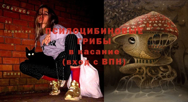 стаф Красноперекопск