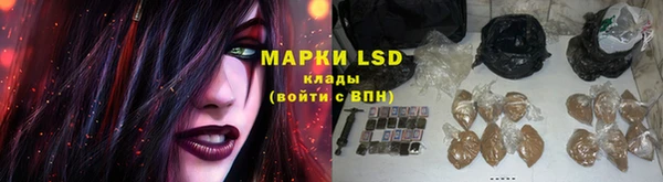 стаф Красноперекопск