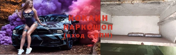 сатива Киренск